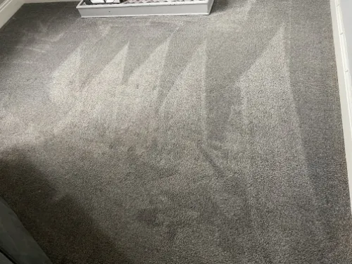 After professional carpet cleaning Carpet Clening