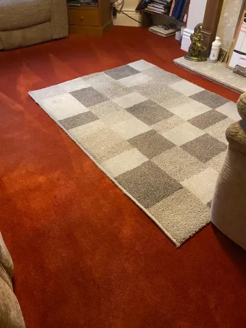 After professional rug and carpet cleaning Rug Cleaning