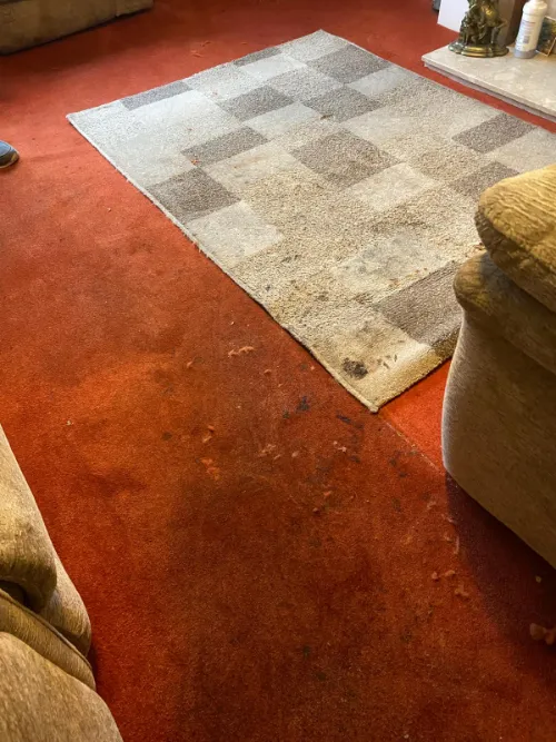 Before professional rug and carpet cleaning Rug Cleaner