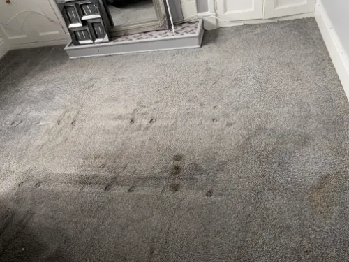 Before professional carpet cleaning Carpet Cleaner